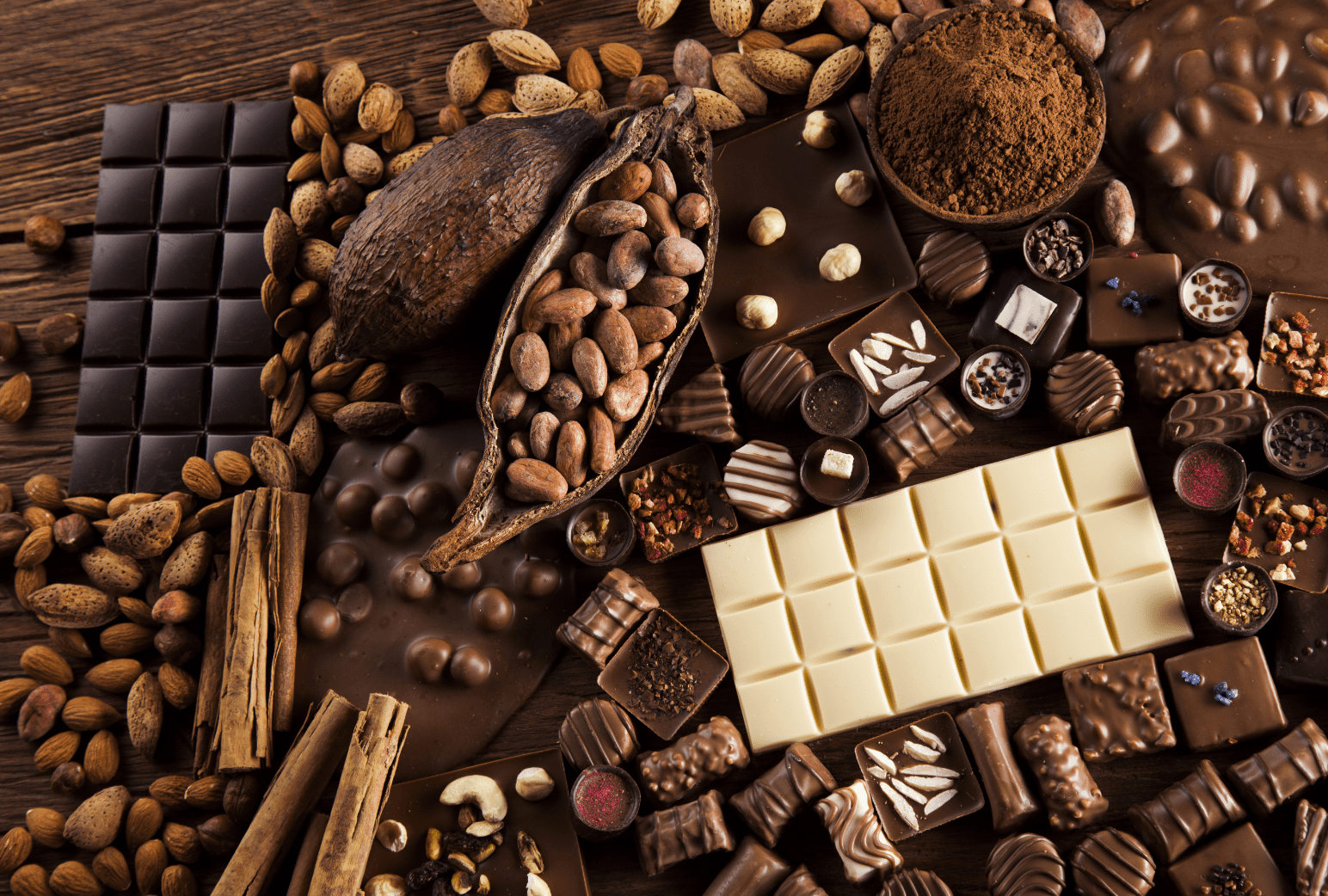Atelier ChocoBrain Ambiance